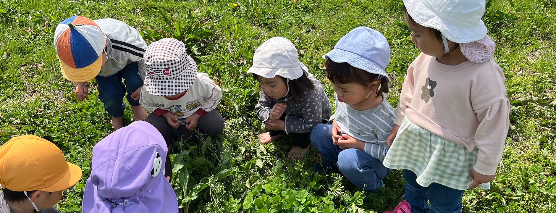 よく遊び、よく食べ、よく寝て、健康な子どもに！   