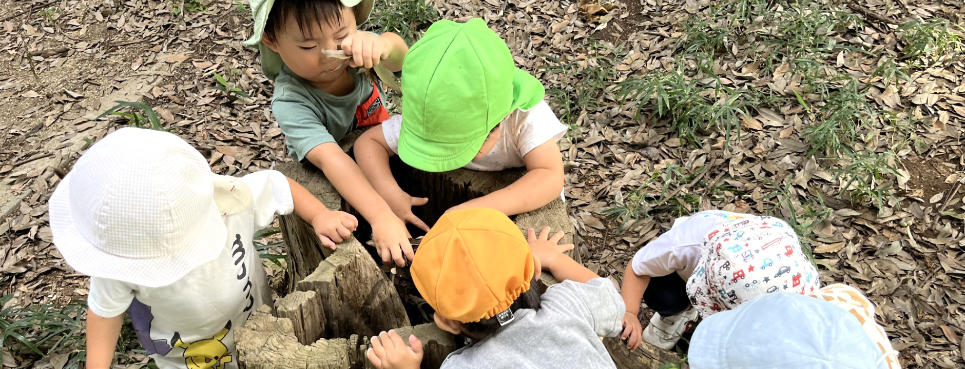 よく遊び、よく食べ、よく寝て、健康な子どもに！   