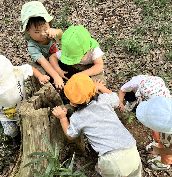 よく遊び、よく食べ、よく寝て、健康な子どもに！   