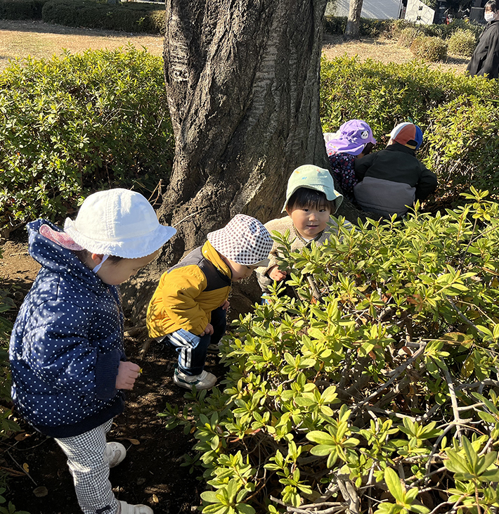 よく遊び、よく食べ、よく寝て、健康な子どもに！   
