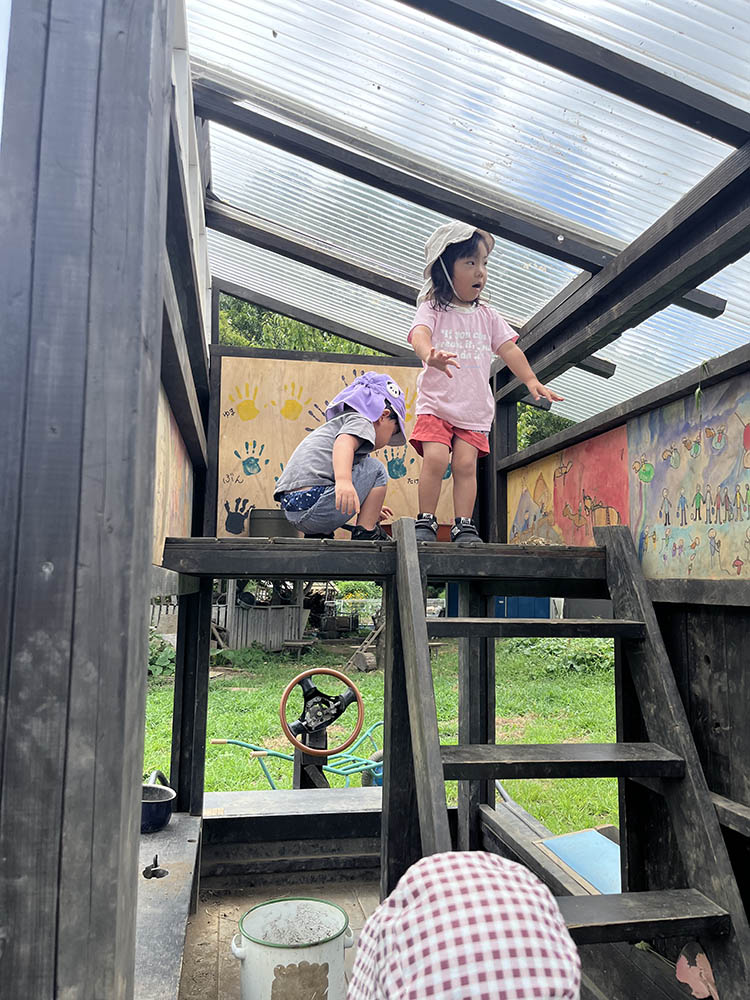 🛝保育交流🛝